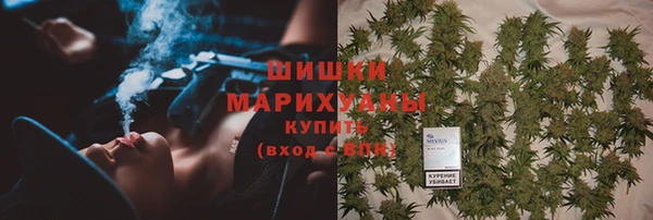 ешки Снежногорск