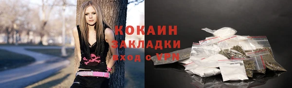 твердый Михайловск