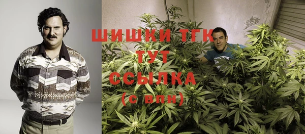 ешки Снежногорск