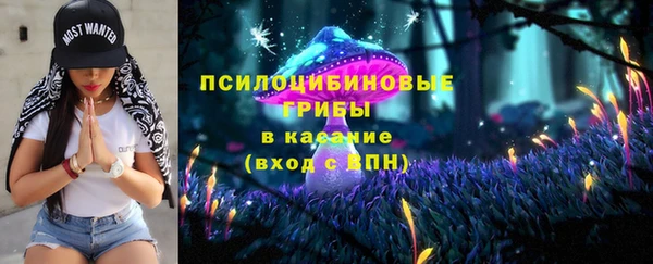 PSILOCYBIN Снежинск