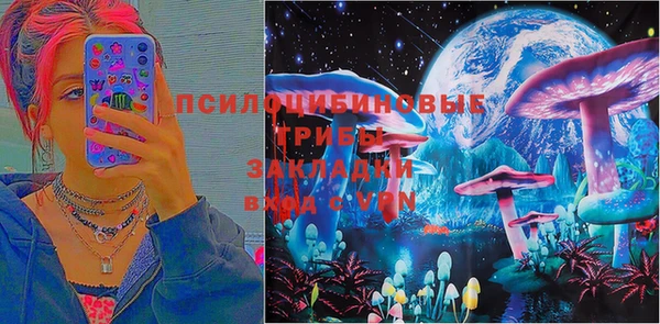 шишки Михайловка