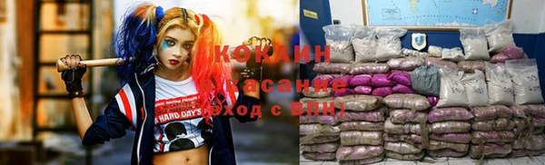 шишки Михайловка